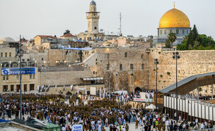 יום ירושלים 2023 (צילום: אריה לייב אברמס, פלאש 90)