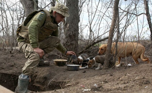 כלבים וחיילים באוקראינה (צילום: ANATOLII STEPANOV/AFP)