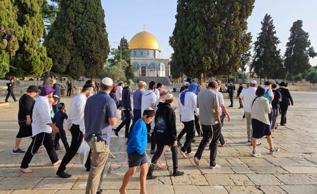 יהודים עולים להר הבית  (צילום: בידינו למען הר הבית)