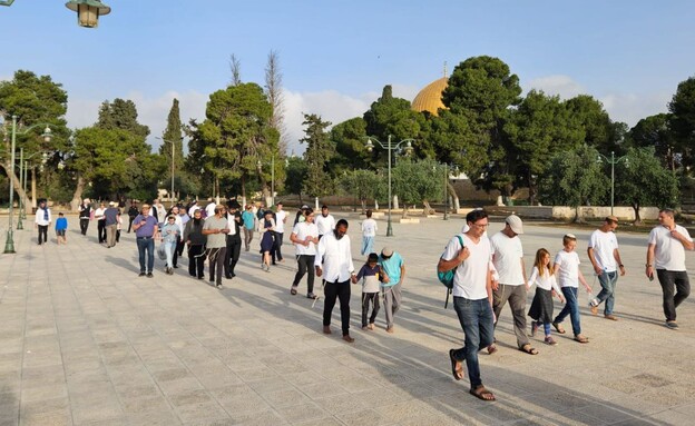 יהודים עולים להר הבית  (צילום: בידינו למען הר הבית)