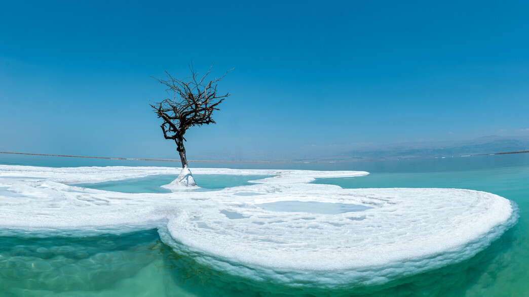 ים המלח ים המלח