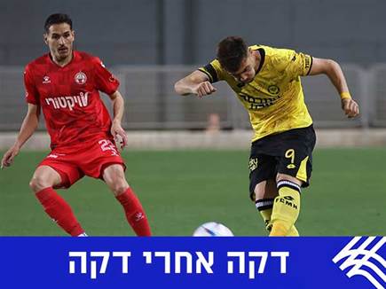 sportFive1291643 (צילום: ספורט 5)