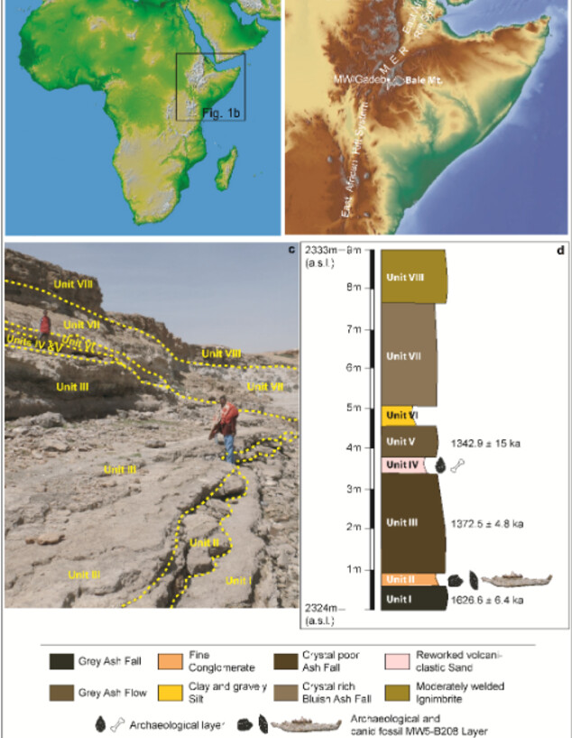 זאב אתיופי (צילום: טגנו גוסה, Relief map from Natural Earth, אספאווסן אסרט)