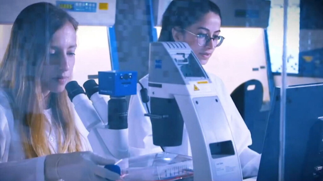 מעבדה מעבדה