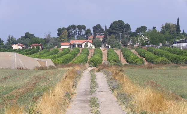 מושב תקומה (צילום: אילן אסייג)