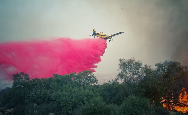 שריפה במטעי קיבוץ אלמוג (צילום: כבאות והצלה לישראל)