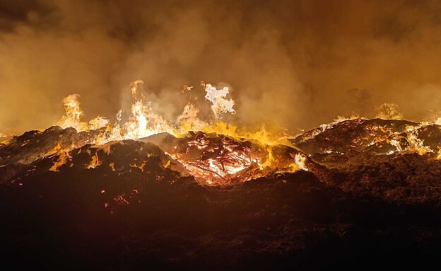 שריפה במטעי קיבוץ אלמוג (צילום: כבאות והצלה לישראל)