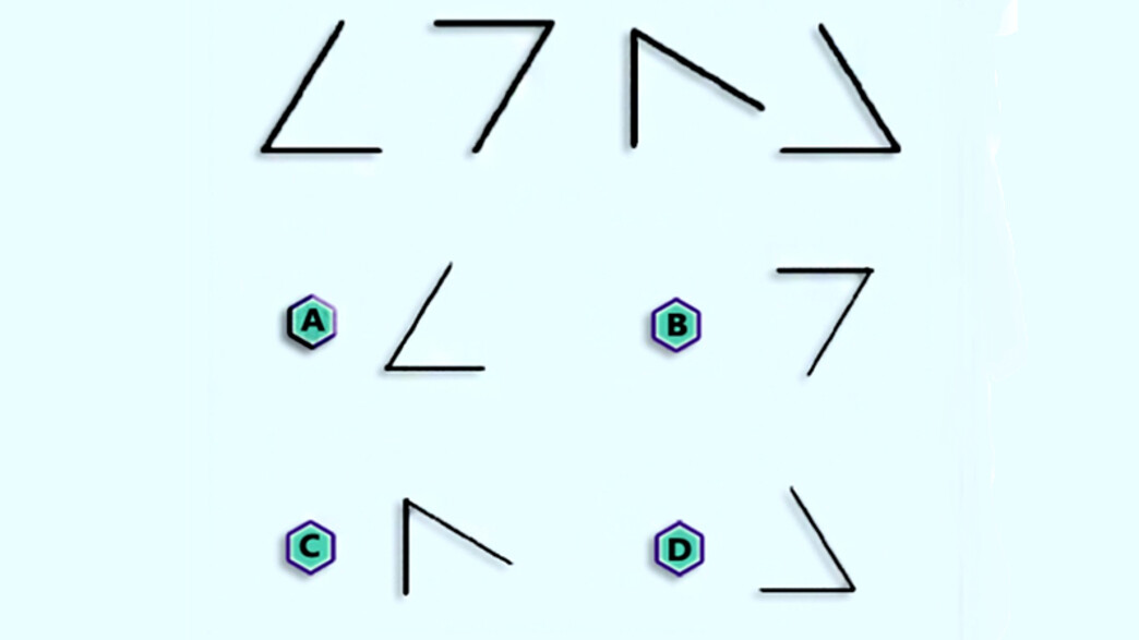 מבחן האיי קיו הגדול 