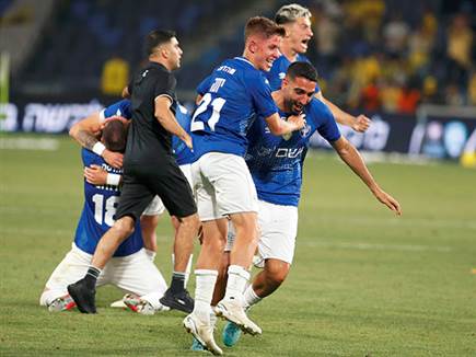 עתיד ורוד? (אלן שיבר)