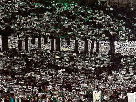 מעל 600 אלף איש ביציעים העונה. אוהדי מכבי חיפה (צילום: אלן שיבר)