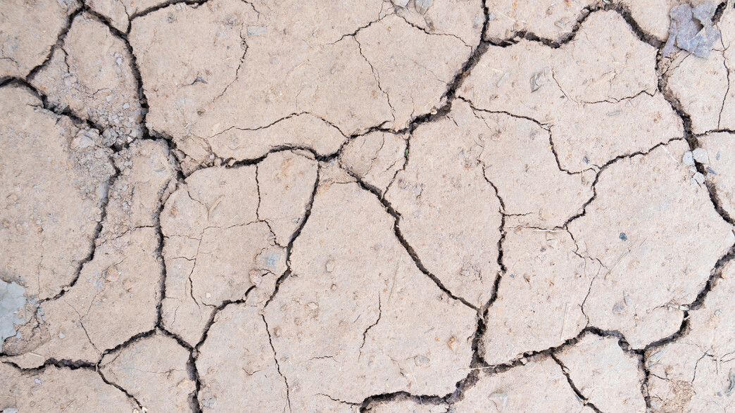 אדמה יבשה אדמה יבשה