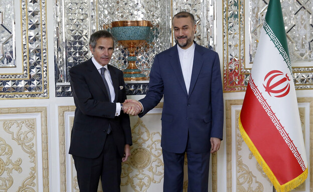 יו"ר סבא"א רפאל גרוסי ושר החוץ האיראני עבדאלליהאן (צילום: AP/ 123RF)