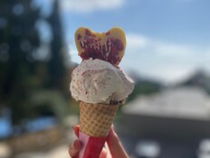 גלידה אמיליה (צילום: לימור כרסנטי , יחסי ציבור)