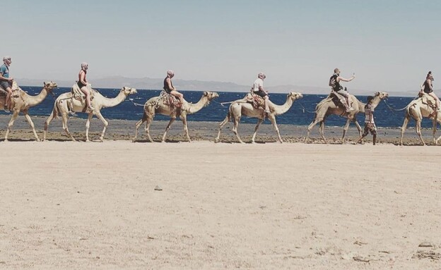 האינסטגרם של החתן השני