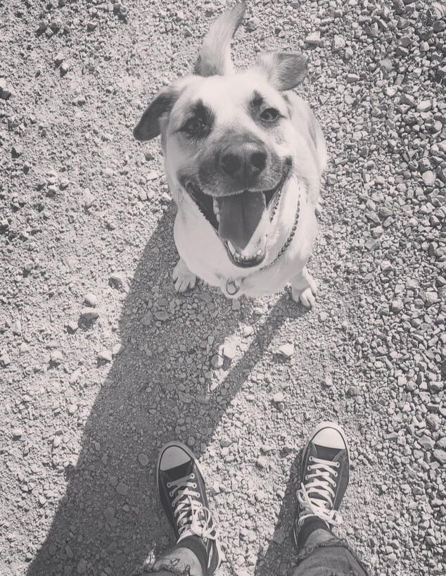 האינסטגרם של החתן השני