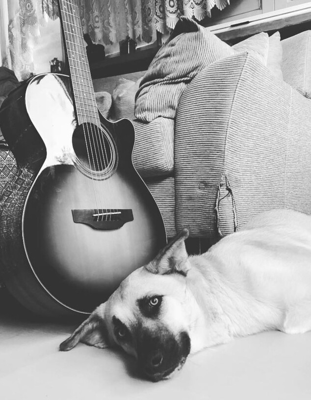 האינסטגרם של החתן השני