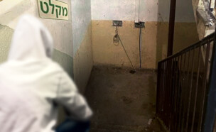 קצרין (צילום: צילום פרטי )