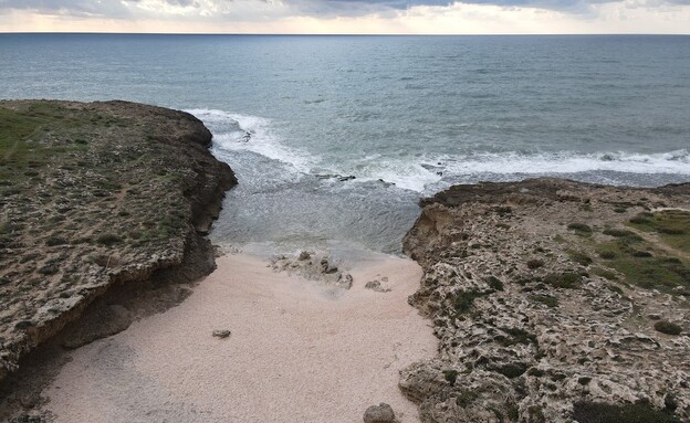 חוף הצדפים בחוף הבונים חוף הצדפים בחוף הבונים