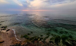 גן לאומי חוף פלמחים (צילום: שלומי יצחקי, רשות הטבע והגנים)