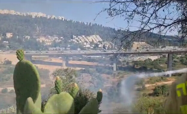 שריפה בעמק הארזים סמוך לכביש אחד (צילום: דוברות המשטרה)