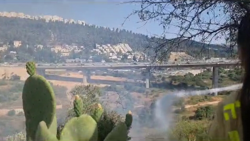 שריפה בעמק הארזים סמוך לכביש אחד