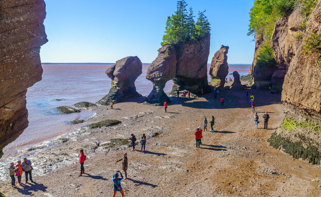 vupהופוול רוקס סלעים קנדה (צילום: RnDmS, shutterstock)