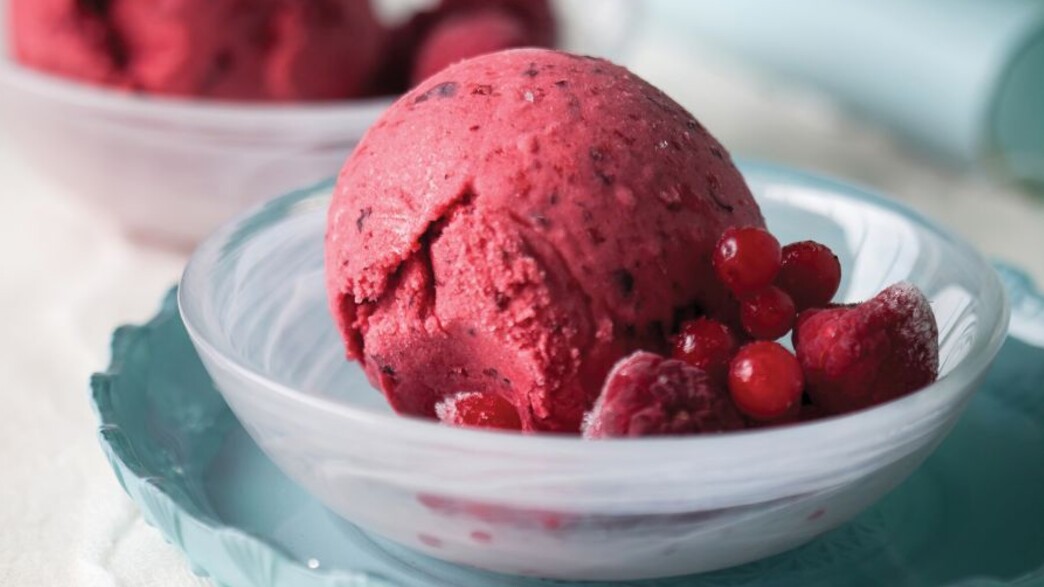 סורבה פירות יער זריז