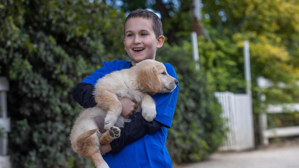 ילד עם לברדור