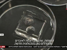 20svav_vtr2_n20230622_v1 (צילום: חדשות)