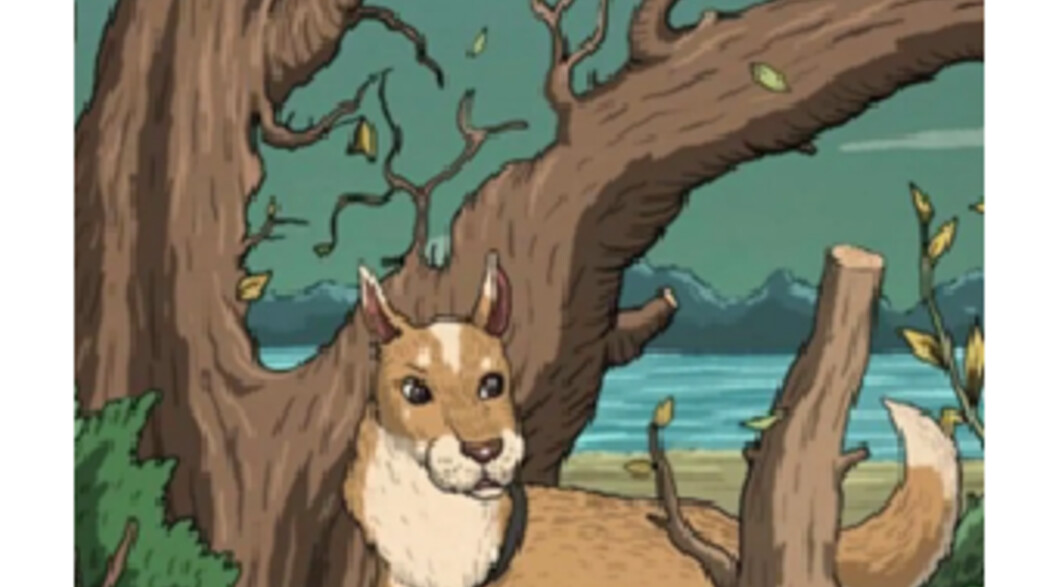 החידה השבועית: איפה החתול