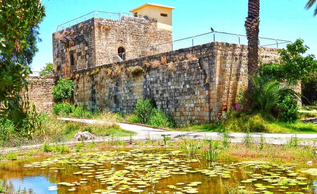 שמורת הטבע עין אפק (צילום: שרית פילאצי, רשות הטבע והגנים)