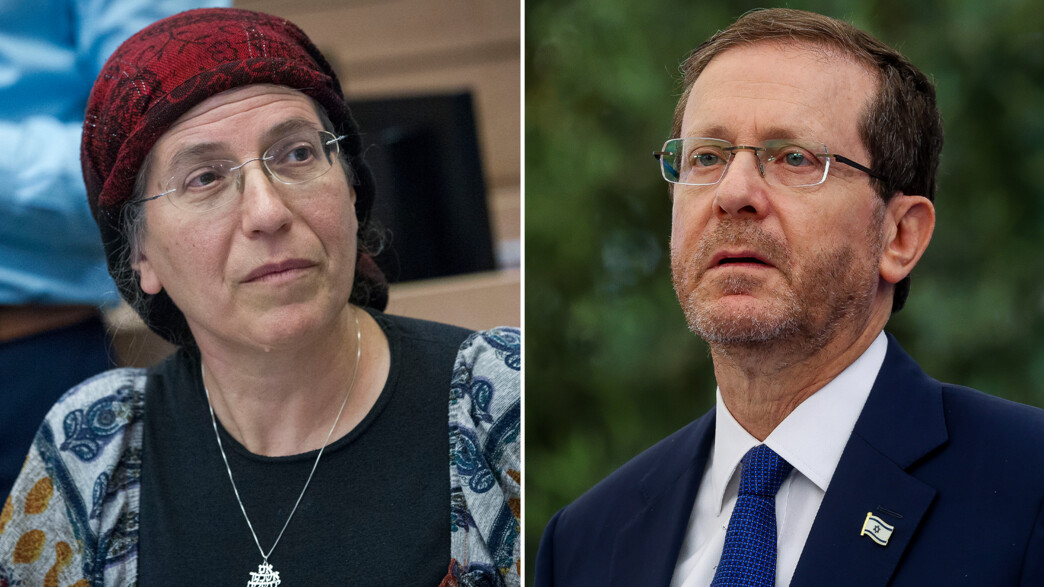 אורית סטרוק, הרצוג