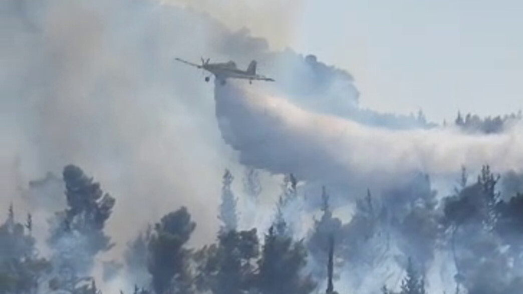 השרפה בכפר אורנים