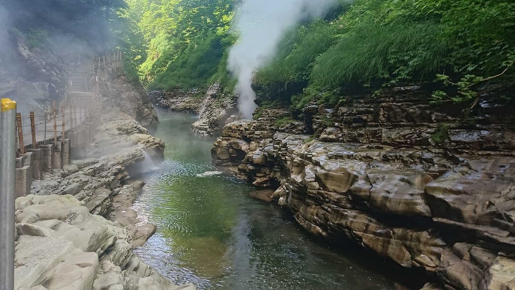  אויאסוקו יפן