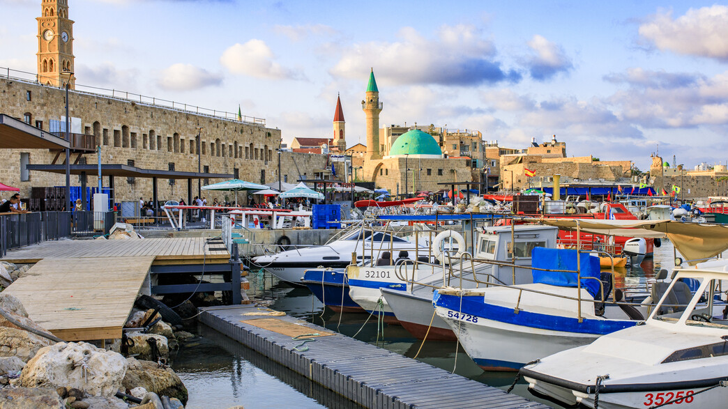 פרויקט עכו - 31