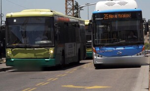 אוטובוסים (צילום: חדשות 12)