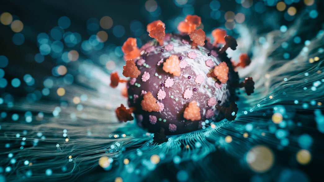 וירוס קורונה אילוסטרציה