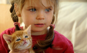 ילדה עם חתול- חלומות של ילדים (צילום: SilviaJansen, Istock)