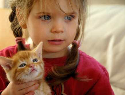ילדה עם חתול- חלומות של ילדים