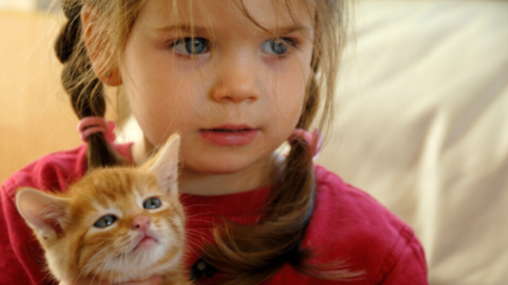 ילדה עם חתול- חלומות של ילדים