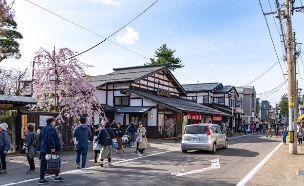 קקונודטה יפן (צילום: Shawn.ccf, shutterstock)