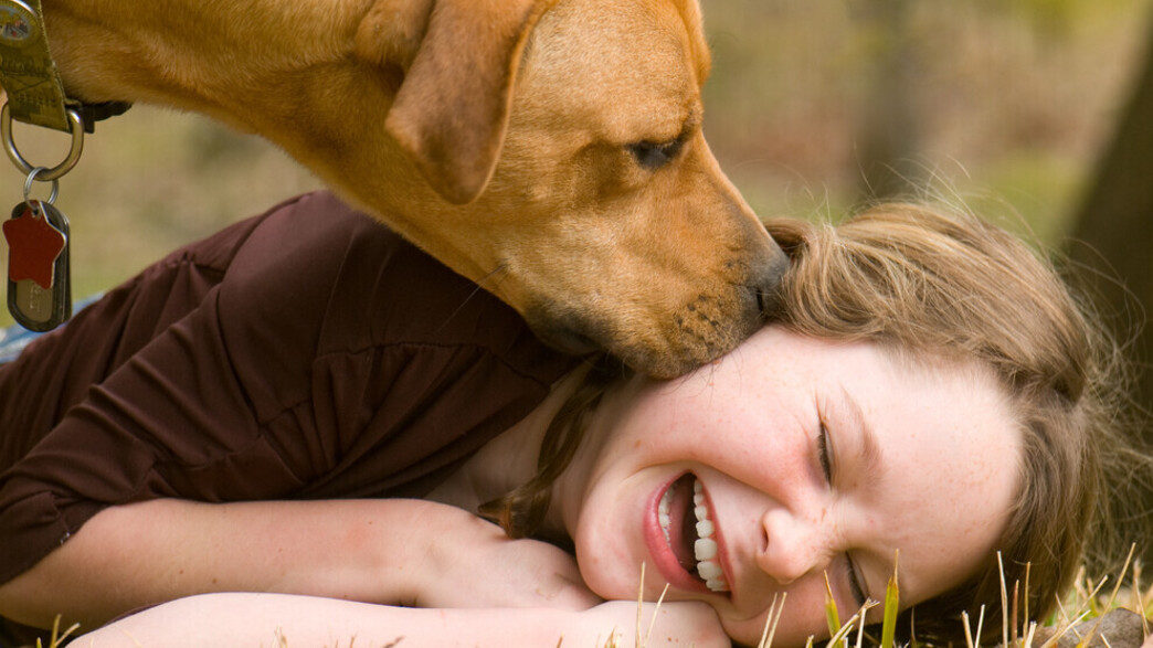 ילדה עם כלב ילדה עם כלב