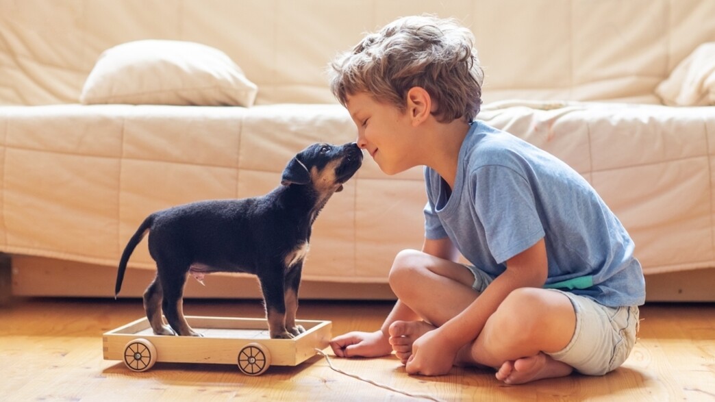 ילד עם כלב