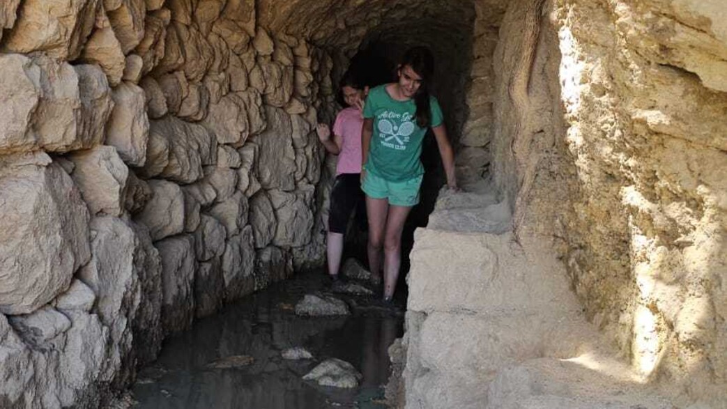 שביל המעיינות ביער עמינדב