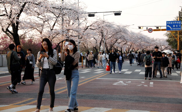סיאול, בירת קוריאה הדרומית (צילום: רויטרס)