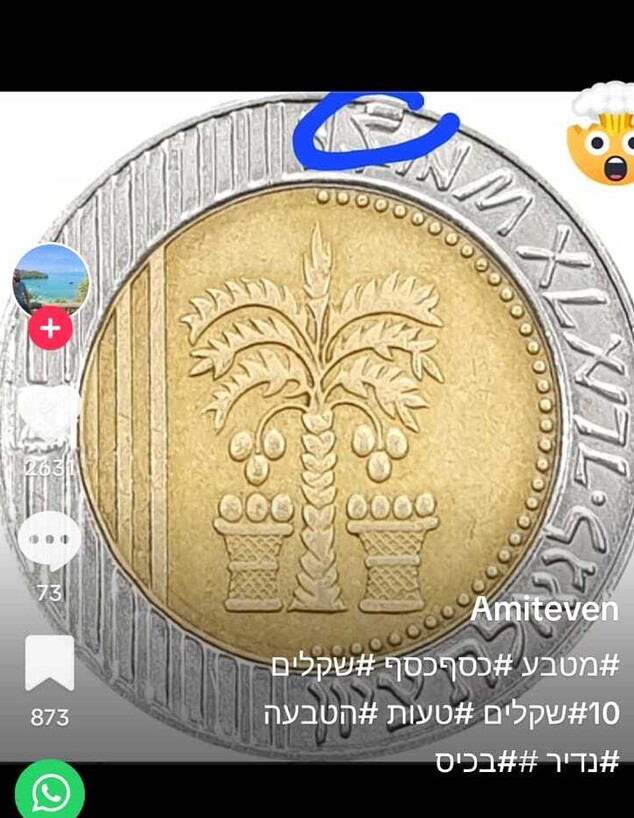 מטבע 10 שקלים מזוייף (צילום: צילום מסך)