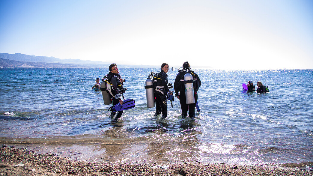 אברהם הוסטל-מגזין - 45 אברהם הוסטל-מגזין - 45