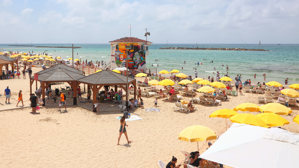 חוף פרישמן תל אביב חוף פרישמן תל אביב