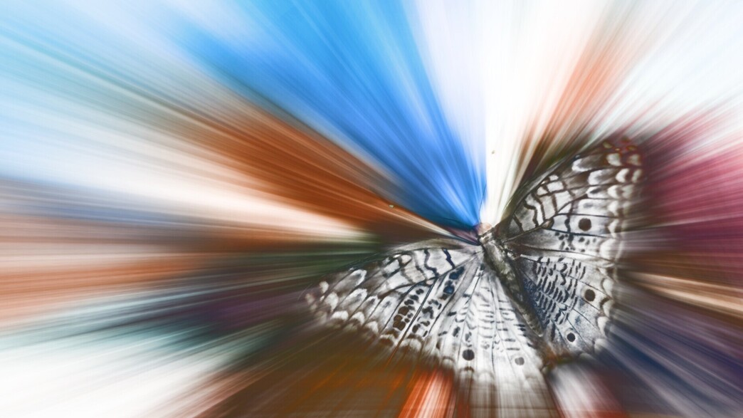 פרשת פינחס - אפקט הפרפר פרשת פינחס - אפקט הפרפר