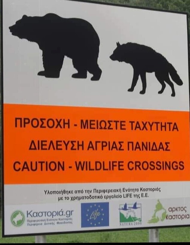 זהירות, דובים לפניך - חבל איפרוס (צילום: אריאלה אפללו)
